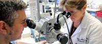 Dr. Yelena Akelina with microsurgrical trainee at surgical microscope